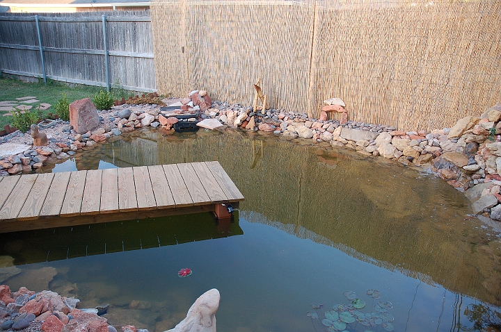 Pond from right side.jpg